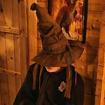 Harry Potter-chalet Du Sanglier Magique - *